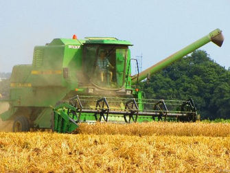 The Hale Harvest Is Well Underway